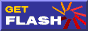 Download FLASH 4 Plugin