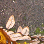 Aktuell