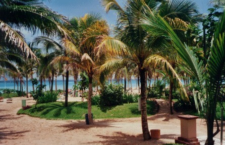 mexico1.jpg (120082 bytes)