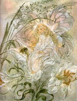 Weise Lilien
