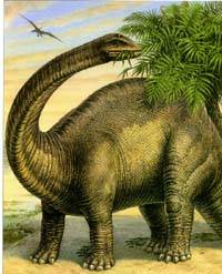 Apotosaurus