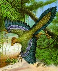 Archaeoperyx