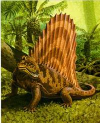 Dimetrodon