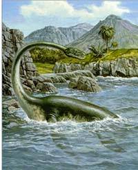 Plesiosaurus