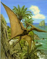Pteranodon