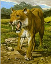Sbelzahntiger