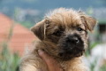 Kelly von der Kaisers�ule
