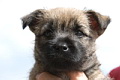 Kessy von der Kaisers�ule