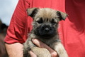 Kessy von der Kaisers�ule