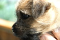 Kitty von der Kaisers�ule