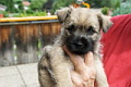 Kuno von der Kaisers�ule