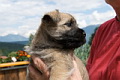 Kuno von der Kaisers�ule