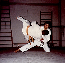 hikiotoshi.jpg (36386 Byte)