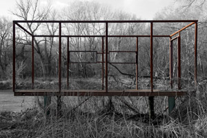 Projekt Thoreau's neighbourhood
