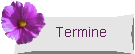 termine