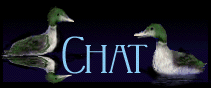 chats.gif (13651 Byte)