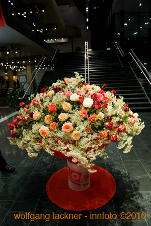 20100206_wko-ball_bl#882C3F