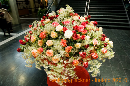 20100206_wko-ball_bl#882C40