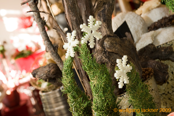 20091122_adventausst#7A82A8
