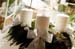 20091122_adventausst#7A8263