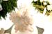 20091122_adventausst#7A8281
