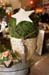20091122_adventausst#7A829F