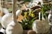 20091122_adventausst#7A82E1