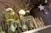 20091122_adventausst#7A8308