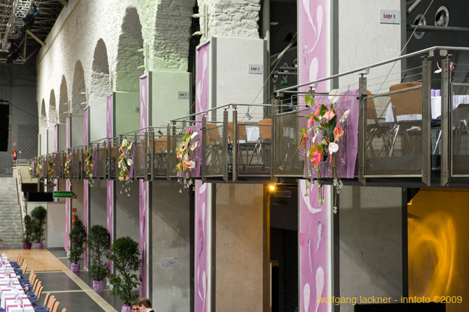 20090207_blumenschmu#3C3822