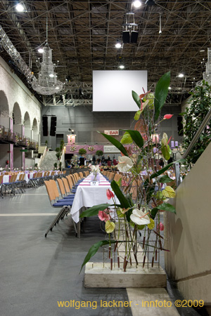 20090207_blumenschmu#3C3829