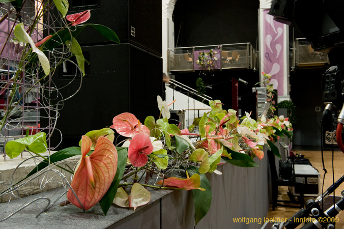 20090207_blumenschmu#3C383B