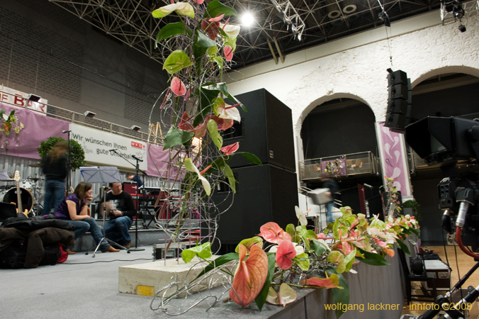 20090207_blumenschmu#3C383D