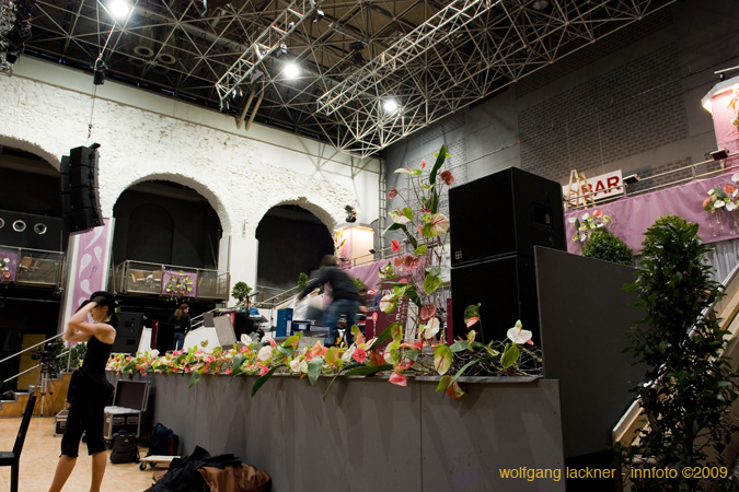 20090207_blumenschmu#3C3841