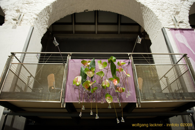 20090207_blumenschmu#3C3849