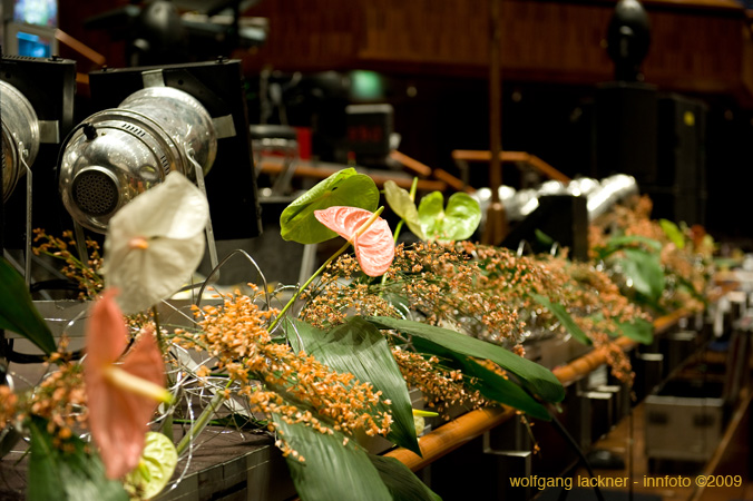 20090207_blumenschmu#3C386A