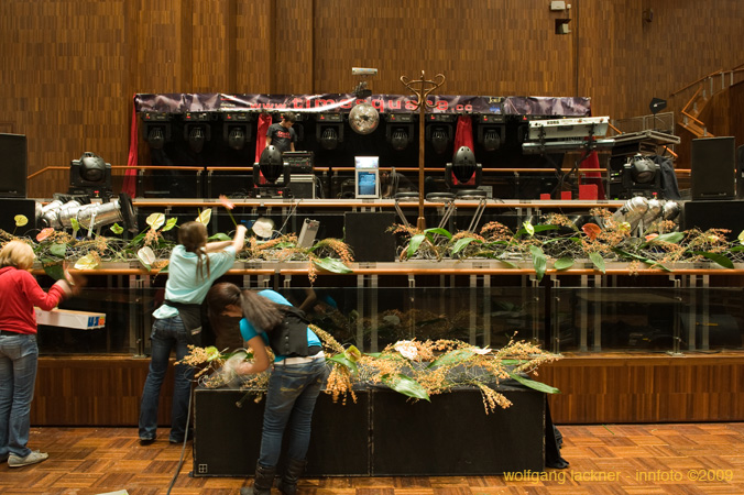 20090207_blumenschmu#3C3870