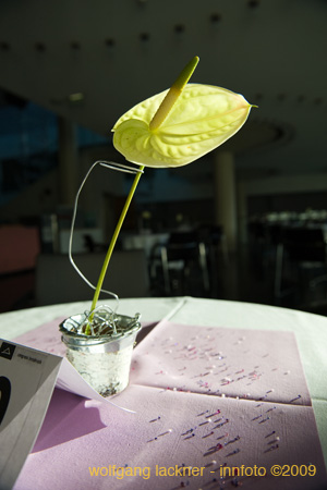 20090207_blumenschmu#3C387E