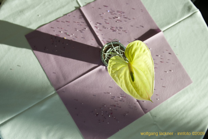 20090207_blumenschmu#3C3880