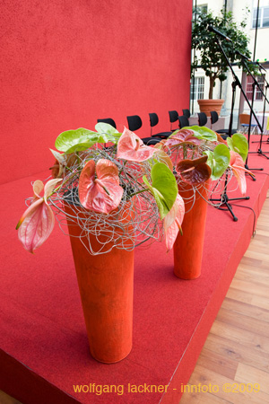 20090207_blumenschmu#3C3894