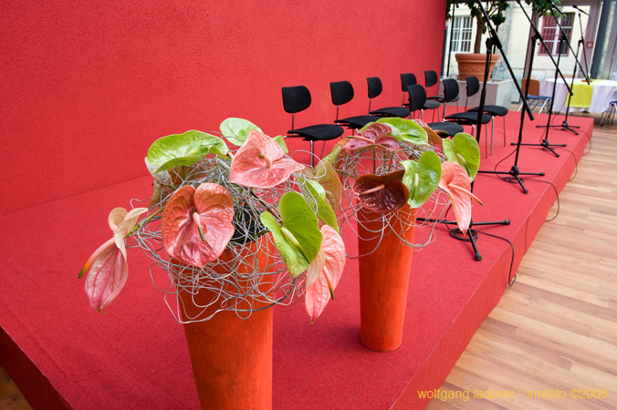 20090207_blumenschmu#3C3896