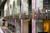 20090207_blumenschmu#3C3822