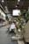 20090207_blumenschmu#3C3829