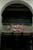 20090207_blumenschmu#3C3833