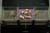 20090207_blumenschmu#3C3835