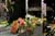 20090207_blumenschmu#3C383B