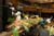 20090207_blumenschmu#3C3866