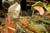 20090207_blumenschmu#3C3868