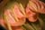 20090207_blumenschmu#3C3874