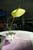 20090207_blumenschmu#3C387E