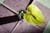 20090207_blumenschmu#3C3886